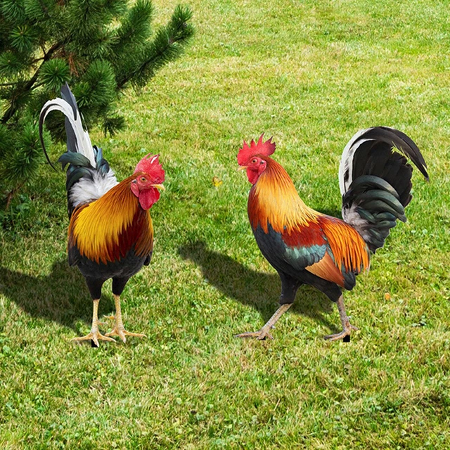 Garden Rooster Statue Chicken Sculpture For Yard Decor Weatherproof Hen Figurine