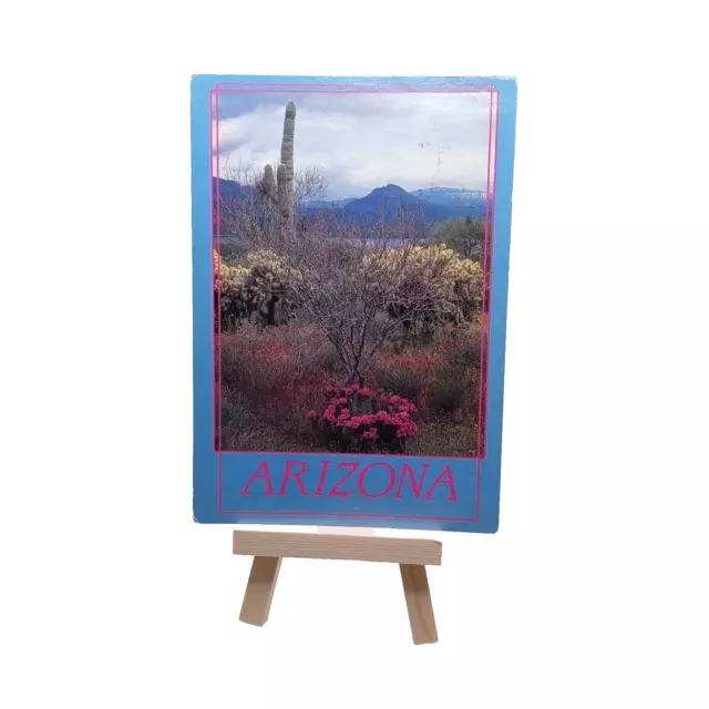 Postcard Arizona Theodore Roosevelt Lake bordered by cactus and mountains