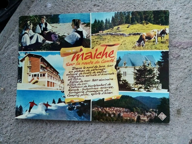 Cpsm Cpm Maiche Différentes Vues