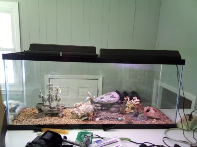 55 gallon fish tank 48" x 12" x 21", complete with lights