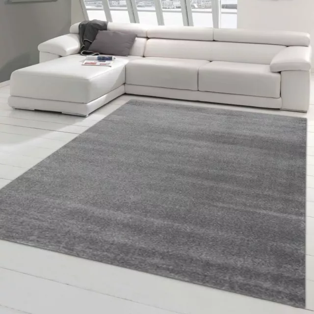 Alfombra moderna de Diseño para el Salón | mullida | diseño liso en gris oscuro