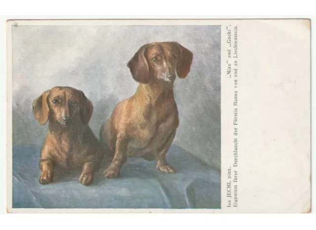 1941 Isa Jechl - arte in cartolina -  coppia cani bassotto