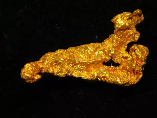 Brilliant Western Australian Gold Nugget ( 1.51 grams ) .