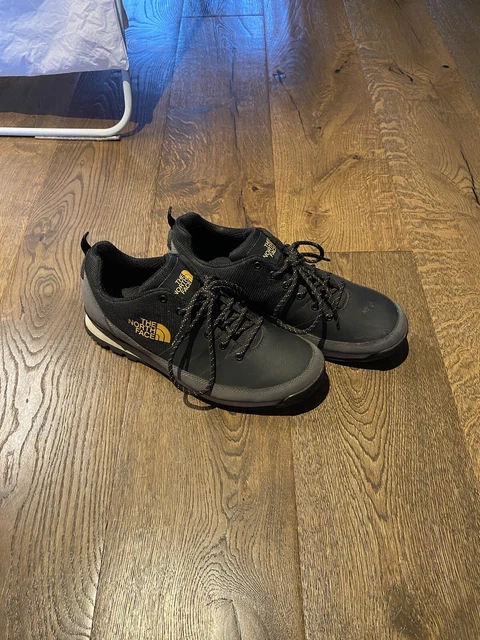 North face back to berkeley low shop
