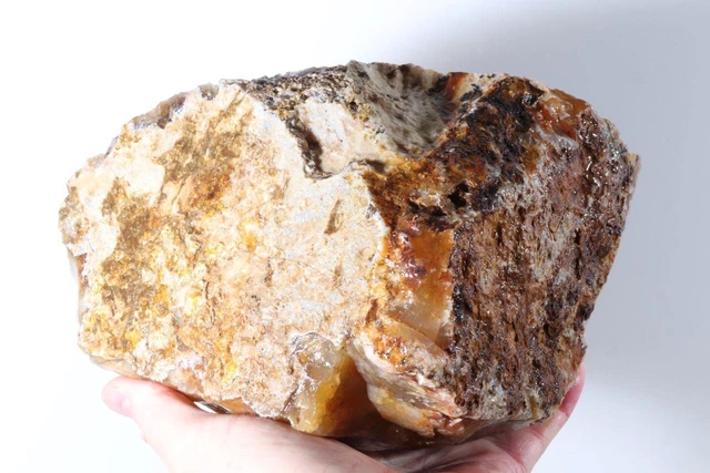 Oregon Graveyard Plume Agate 8 lb 14 oz. lapidary rough