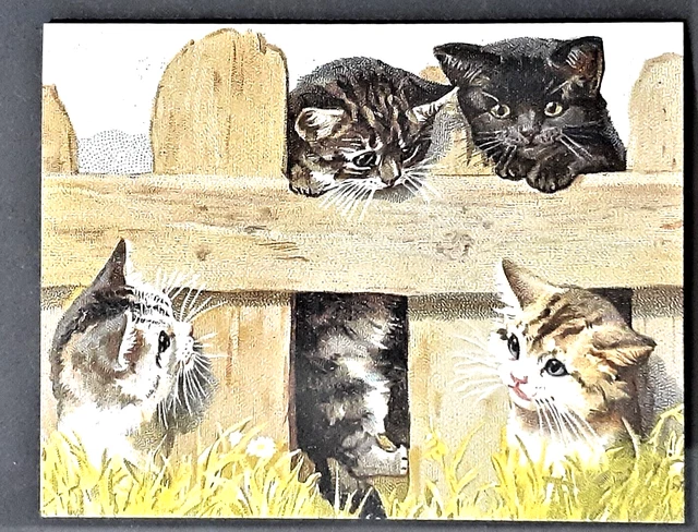 NEW Vntg Style Thank You Note w Envelope FOUR KITTENS PLAYING ON FENCE Mfr USA