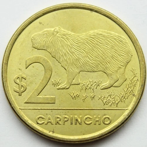 URUGUAY 2019 COIN UNC Capybara coin from Uruguay Capi Carpincho