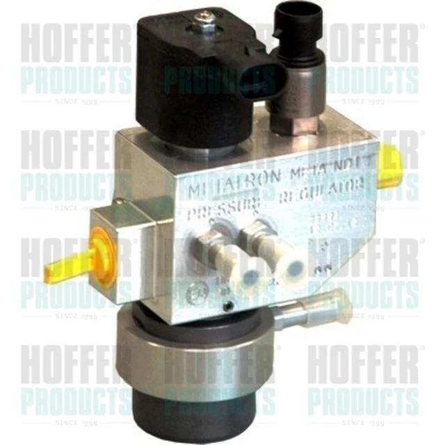 Impianto di iniezione valvola HOFFER H13100 per FIAT DOBLO Natural Power 263AXG1B