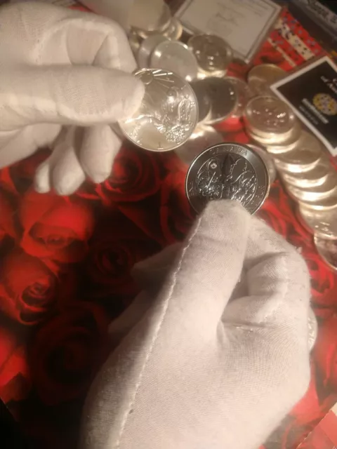 White Cotton Gloves For Handling COINS Currency Art Collection Pair Sale#2 Sz LG