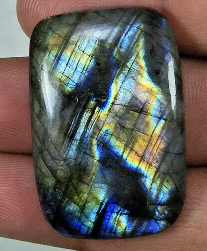 65cts. Naturel Multi Flash Labradorite Rectangle Cabochon Pierre précieuse...