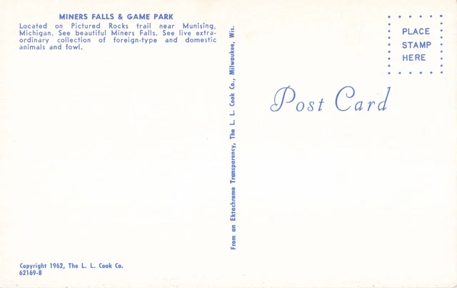 Munising MI Michigan, Miners Falls Game Park Buck Deer in Sun, Vintage Postcard 2