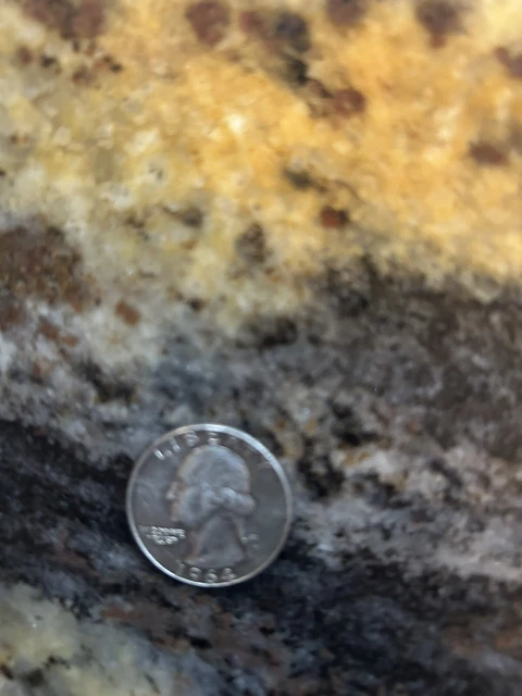 1964-D Denver Mint Washington Quarter 25 Cent Silver ACTUAL COIN SHOWN IN PHOTOS