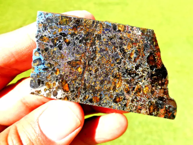 19.79 gram - SEYMCHAN PALLASITE METEORITE Slice - with Beautiful Crystals