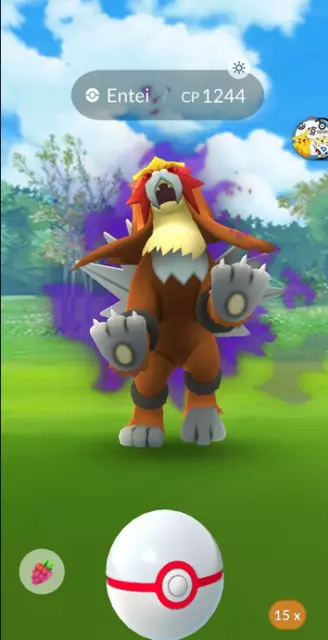 Shadow Entei Raid (Non-Remote) *Shiny Possible*