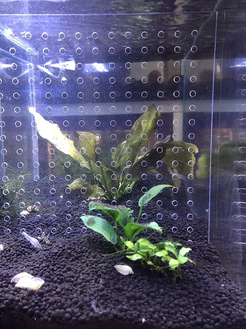 10 Gallon 9.8" X 11" Gallon Tank Acrylic Divider Aquarium Isolation Board with S