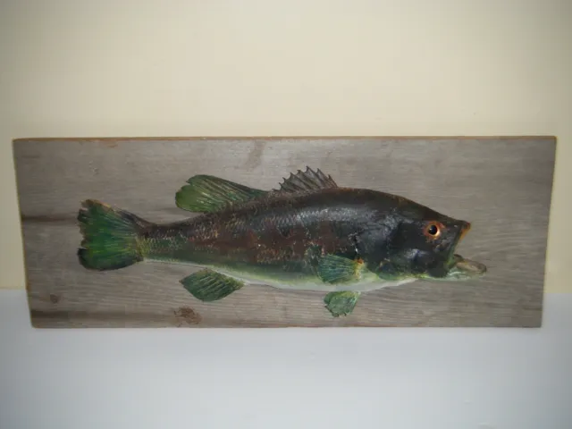Vintage FISH Taxidermy On Wood Wall Hanging