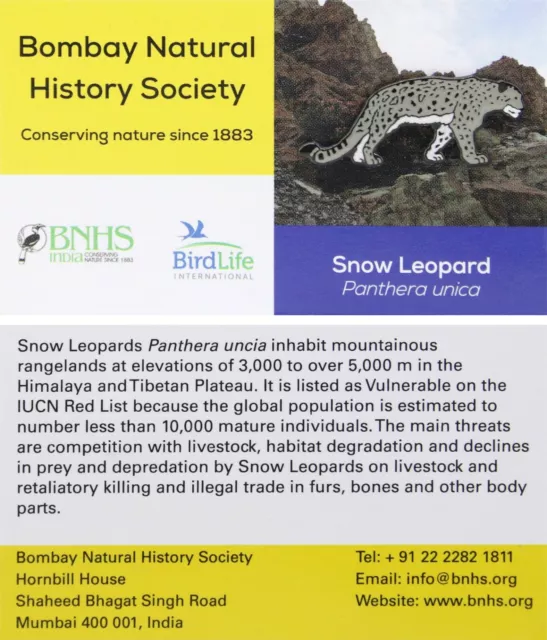 RSPB Pin Badge BNHS Snow Leopard International 01707