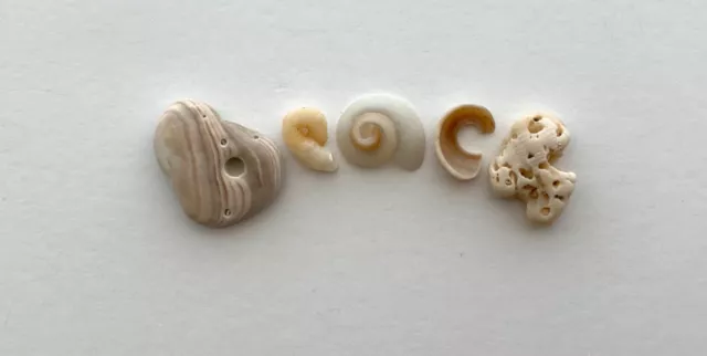 BEACH natural shell fragment letters seashells art craft word sign pebble  USA