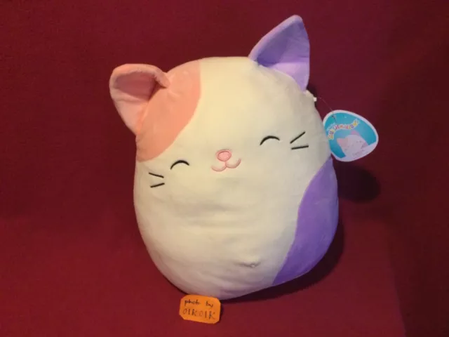 https://www.picclickimg.com/XZUAAOSwCStjyx1D/12-Carlota-Calico-Cat-Squishmallow-Plush-Toy-White.webp