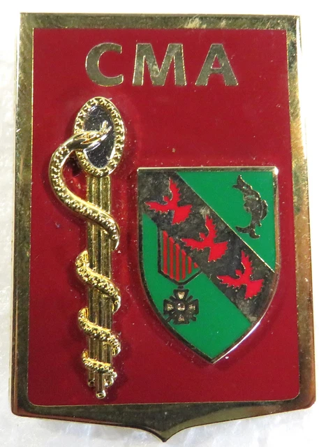 Insigne Original Service De Santé 9e Bataillon Médical Vannes, Badge Militaire