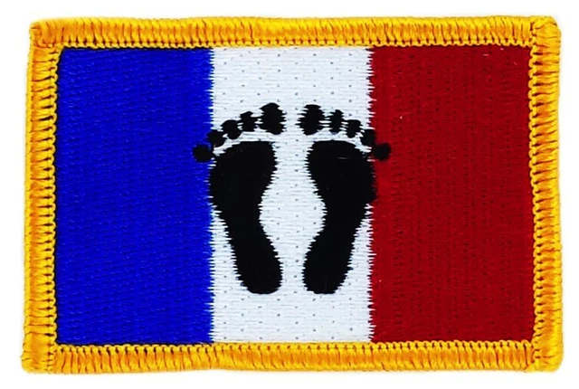 Drapeau Polyester Brodé G128 Drapeau Américain G128 15x25 Pieds - Série StormFlyer Brodé - 220 GSM Polyester - Pour Extérieur Alien Storm
