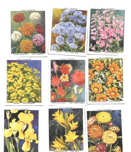 Cigarette CARDS  WD & HO WILLS  GARDEN FLOWERS   FULL SET 50 Cards