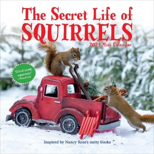 THE SECRET LIFE of Squirrels Mini Calendar 2024 by Workman Calendars
