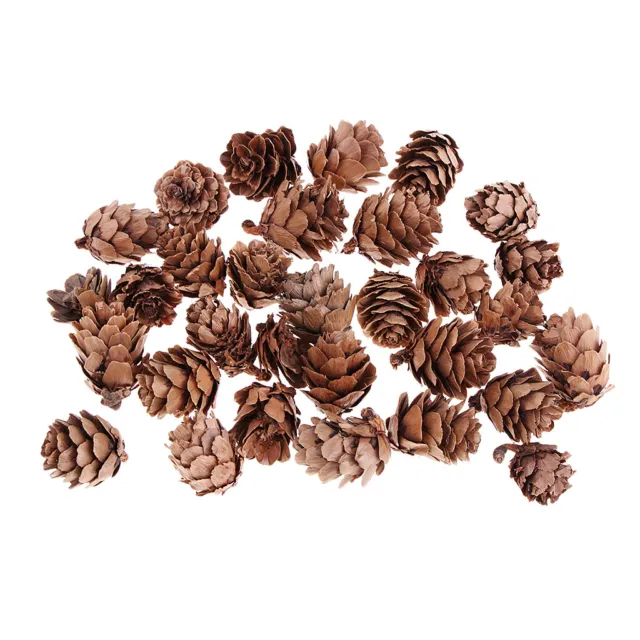 30x   Rustic Decorative Pine Cones For Christmas Home Party Ornament