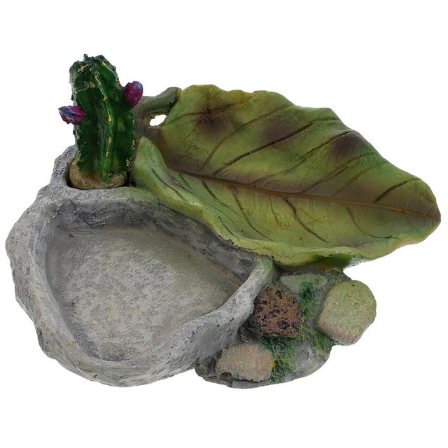 Reptiles cuenca de agua terrario decoración alimentador reptil decoración tortuga