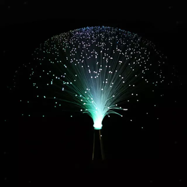 Veilleuse multicolore de lampe de fibre optique de LED pour le décor de