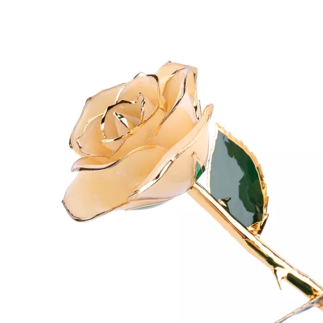 Long Stem 24k Gold Dipped Rose Flower Ornaments Handcrafted Gift Decoration ▷
