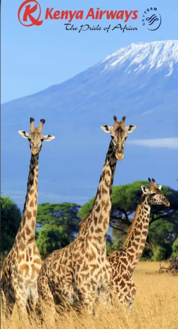 Kenya Airways Flight Voucher Credit $300 1 Year Validaty Kenya Airways Flight Voucher Credit $300 1 Year Validaty