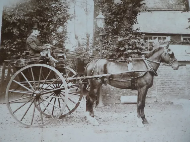 Large Size Antique Vintage Sepia Photograph; Horse Drawn Carriage With Lamps