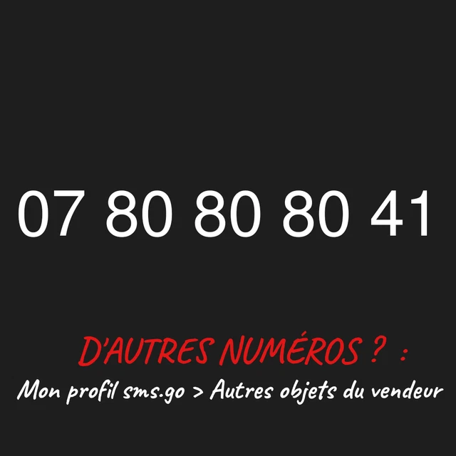 Carte Prépayée Orange Numéro Facile - 0766486666 - Minutes Et Données 3G/4G