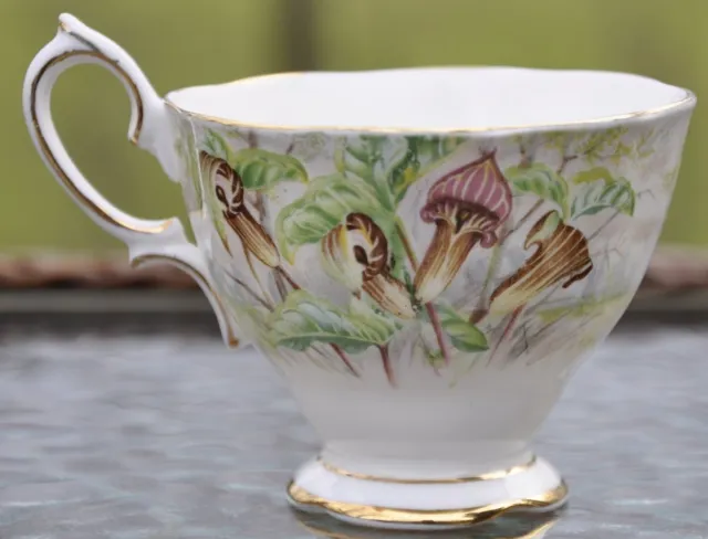 ROYAL ALBERT Jack in the Pulpit teacup English Bone China