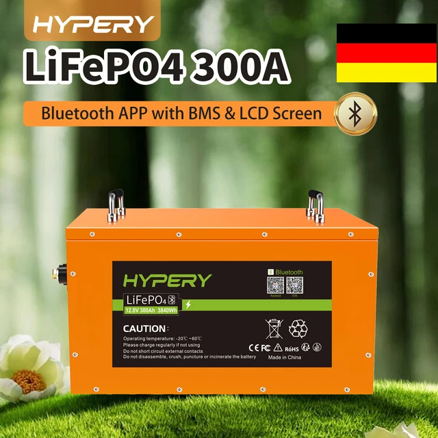 No IVA 300Ah 12,8 V LiFePO4 Litio Bluetooth Batteria Solare Camper Camper Off-grid