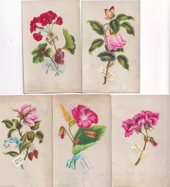 1880's Victorian Card Lot -Compliments of The Season New Years Christmas Flowers