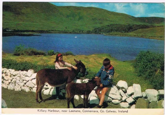 Postcard Killary Harbour Near Leenane Connemara County Galway Ireland
