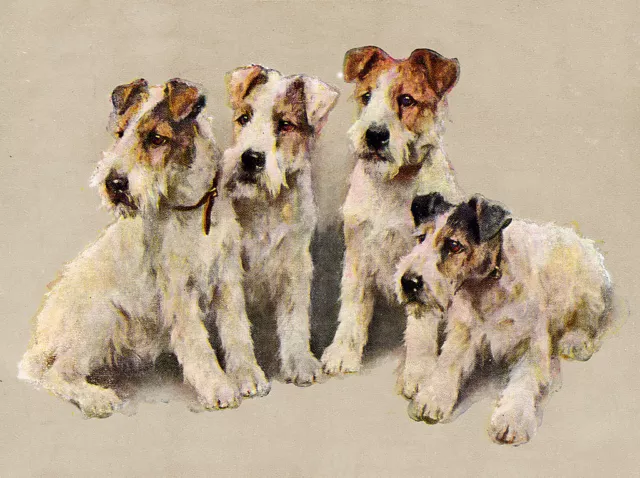 Wire Fox Terrier Charming Dog Greetings Note Card Lovely Group Of Four Dogs