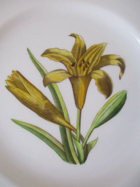Royal Worcester Hand-Painted Porcelain 9-1/4" Luncheon Plate - Lily