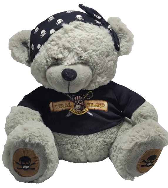 BLACKPOOL CORAL ISLAND Pirate Grey Teddy Bear 11
