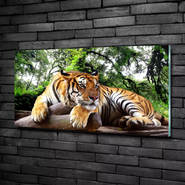 Wandbild aus Plexiglas® Druck auf Acryl 100x50 Tiere Tiger Felsen