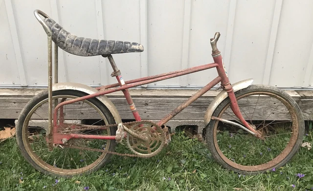 buzz bike western flyer