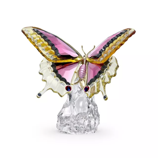 Swarovski Crystal IDYLLIA BUTTERFLY 5650796 New In Box