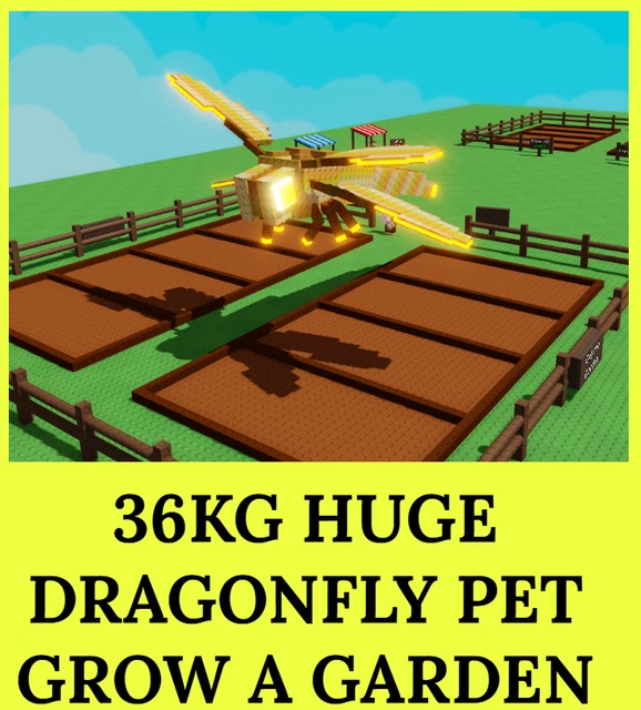 How To Get Dragonfly In Grow A Garden Roblox | Beebom - Foto 7