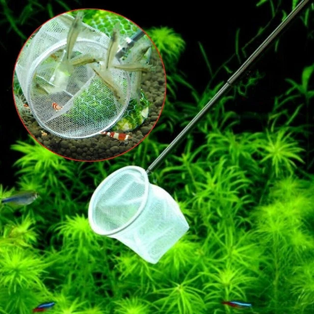 Square Round Shape 3D Aquarium Small Betta Fish Shrimp Catching Dekor Net  F5G6