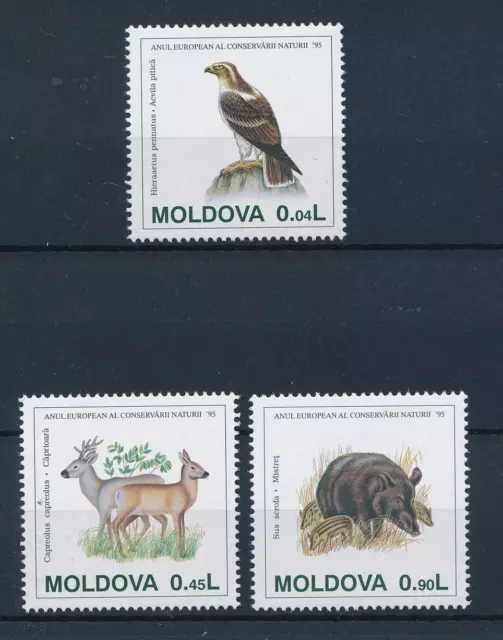 [39442] Moldavie 1995 Animaux Conservation Oiseau Chevreuil Sauvage Sanglier MNH