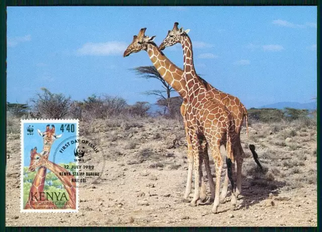 KENIA KENYA MK WWF FAUNA GIRAFFEN GIRAFFE MAXIMUMKARTE MAXIMUM CARD MC CM gu03