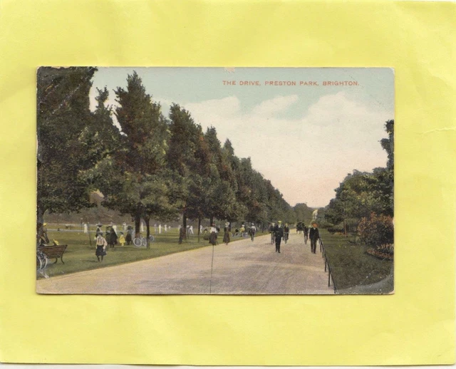 BRIGHTON  - PRESTON PARK -    SUSSEX  ( Ld64 )