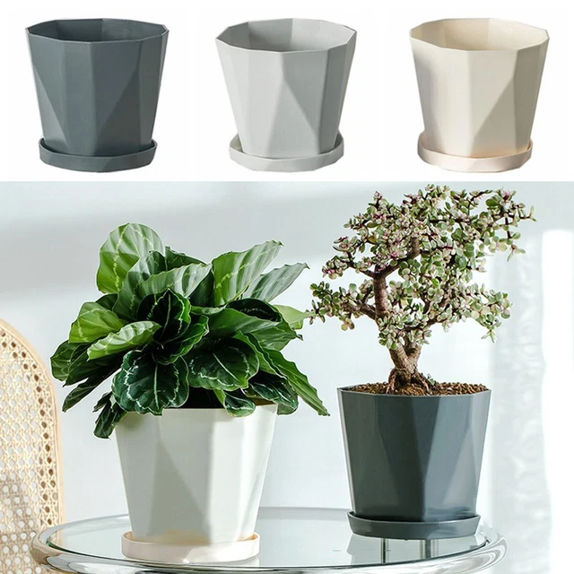 Conteneur d'usine Pots de fleurs Boîte succulente Pot de Plante Planteur